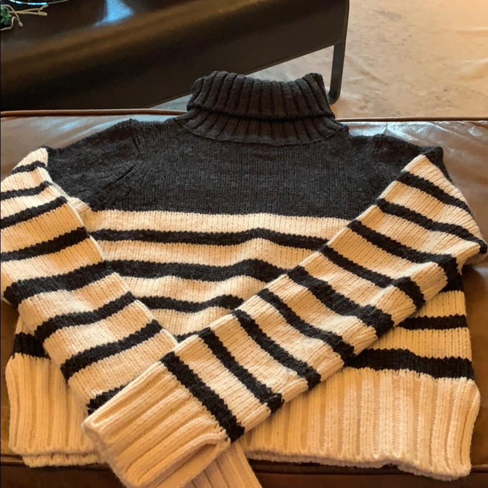 Zara Knit Turtleneck